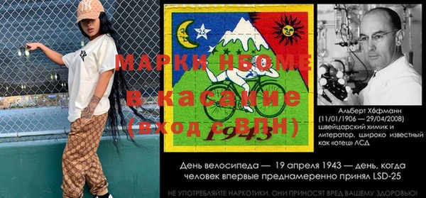 хмурый Гусь-Хрустальный
