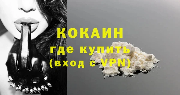 хмурый Гусь-Хрустальный