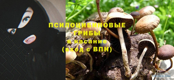 хмурый Гусь-Хрустальный
