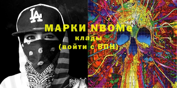 хмурый Гусь-Хрустальный