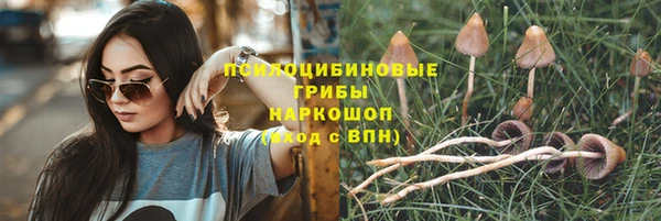 хмурый Гусь-Хрустальный