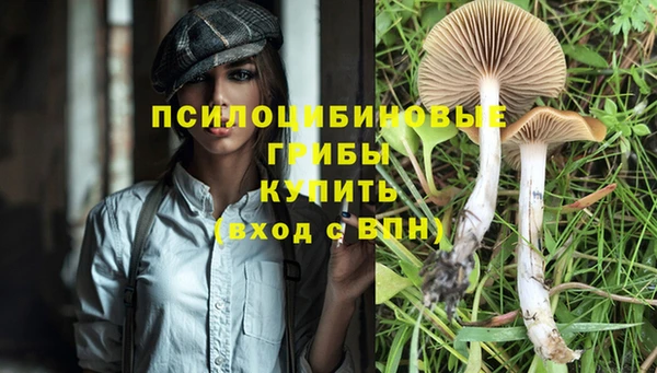 метамфетамин Гусев