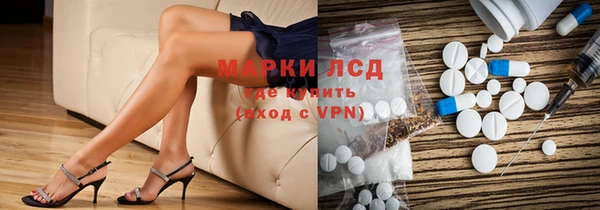 хмурый Гусь-Хрустальный