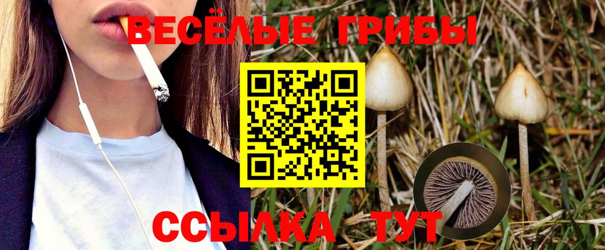 Псилоцибиновые грибы прущие грибы  Вход с VPN  Добрянка 