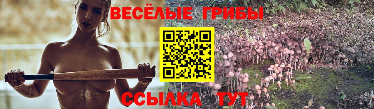 купить закладку  Добрянка  Галлюциногенные грибы Psilocybine cubensis 